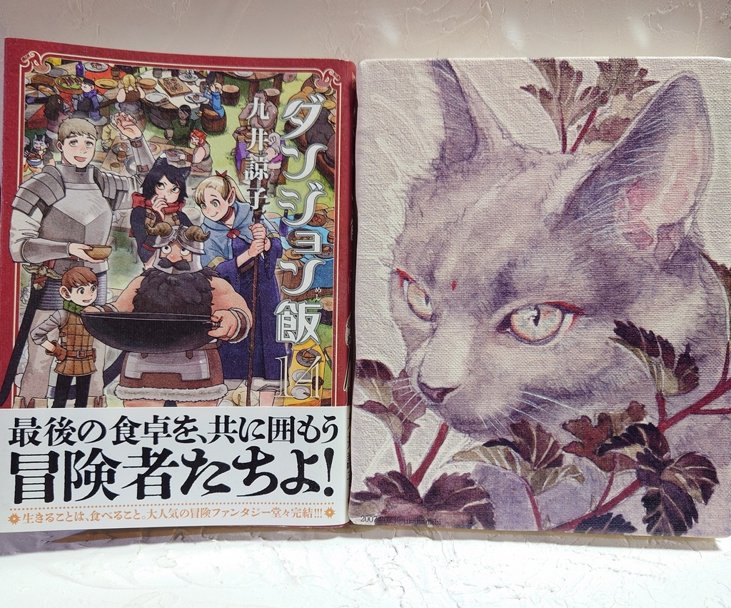 数量限定キャンバスアート「灰猫」