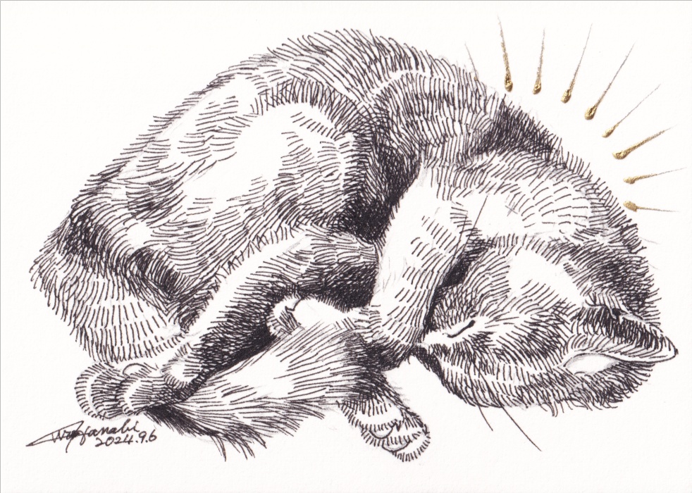 直筆ATC81+マット「森に眠る」