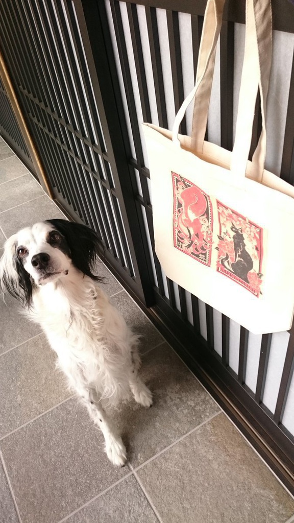 猫と狐、マッチ柄トートバッグ-M