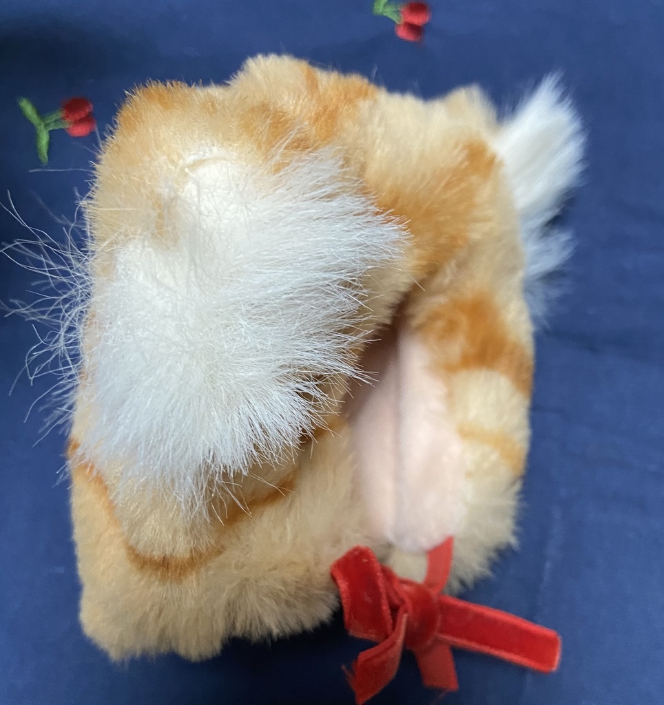 𝕋𝕠𝕣𝕒𝕟𝕖𝕜𝕠