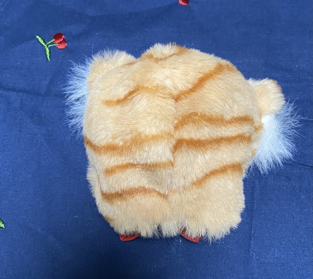 𝕋𝕠𝕣𝕒𝕟𝕖𝕜𝕠