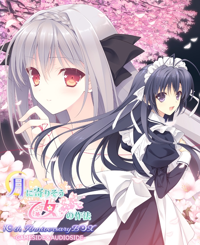 【月に寄りそう乙女の作法10周年アニバーサリーボックス】※数量限定購入特典“桜小路ルナ”色紙付き!