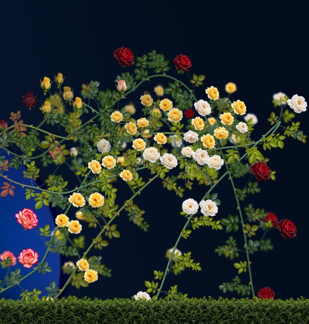 Rose Garden|デスクトップに薔薇が咲くWindowsアプリ