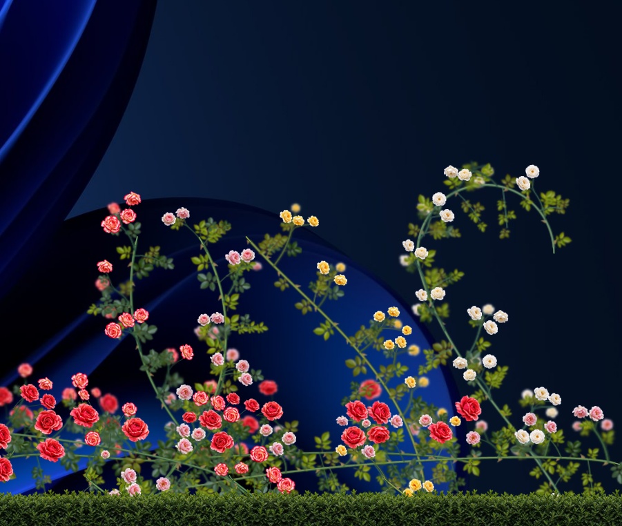 Rose Garden|デスクトップに薔薇が咲くWindowsアプリ