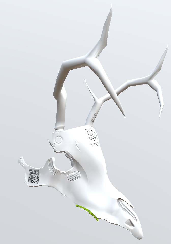 3Dモデル 鹿骨マスク 5種