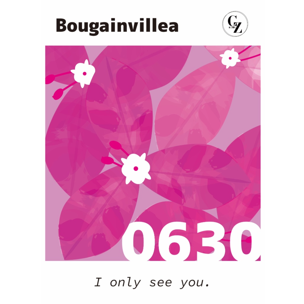 <Oh!Pink! >ポストカード