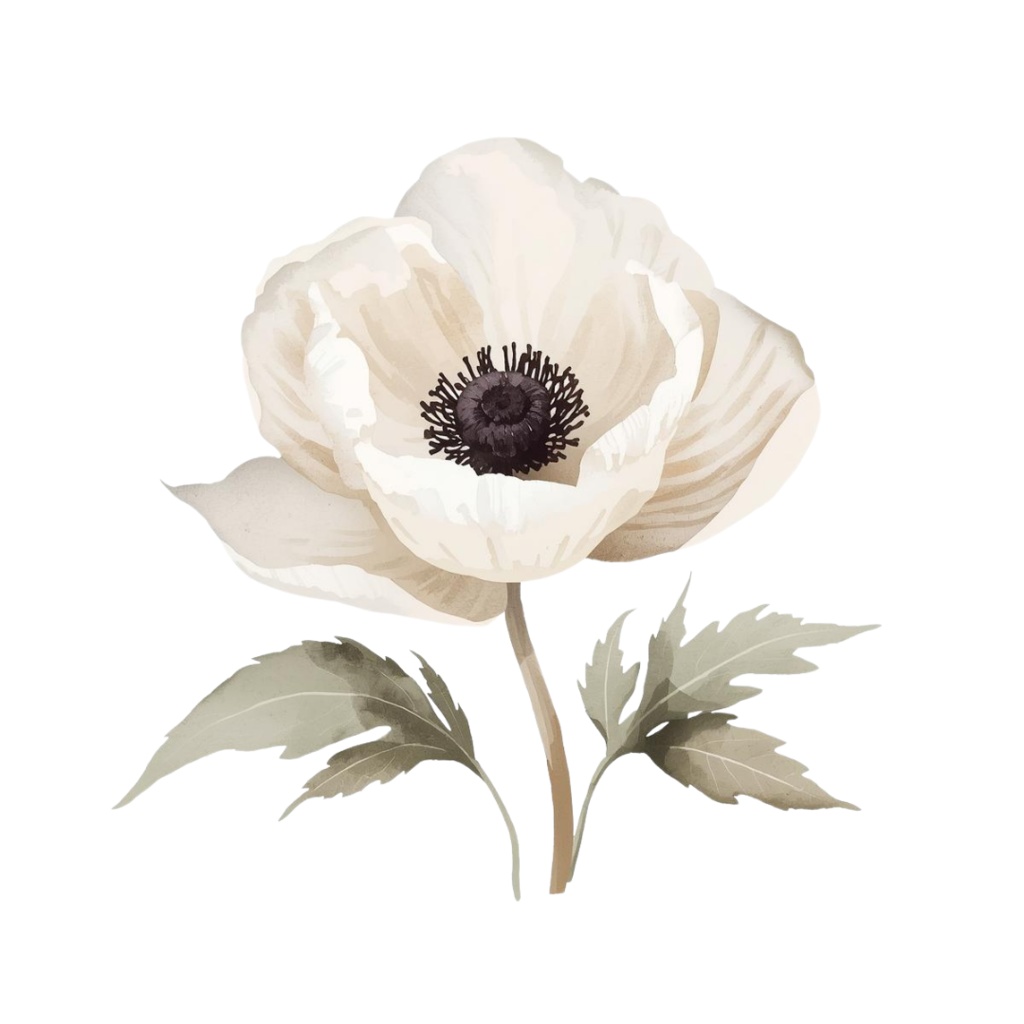 大人かわいい水彩フラワー素材集|12点・透過PNG