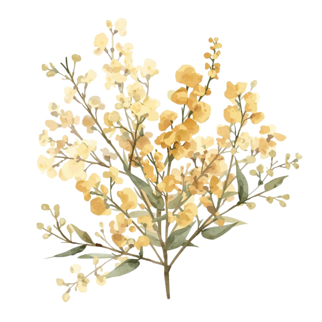 大人かわいい水彩フラワー素材集|12点・透過PNG