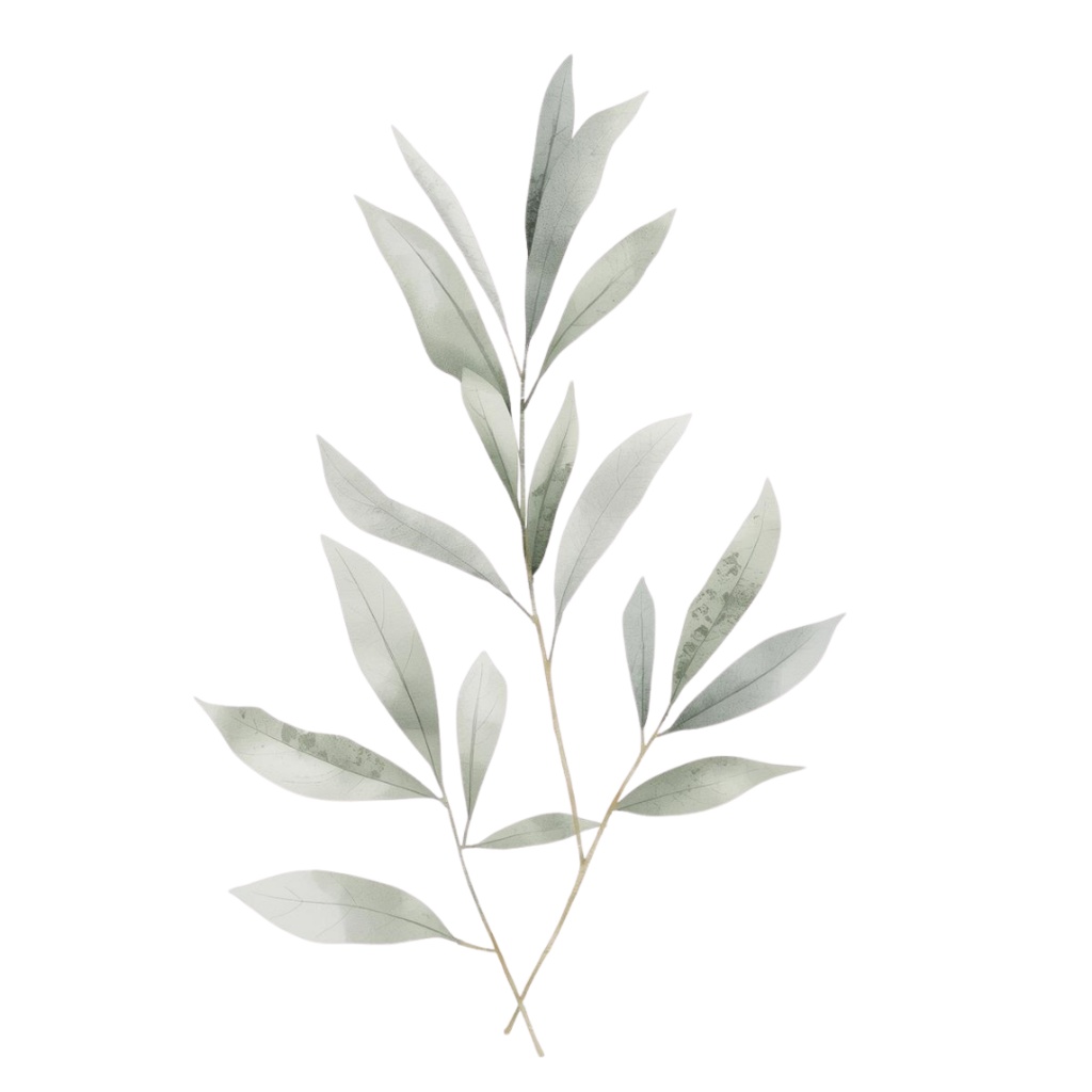 大人かわいい水彩フラワー素材集|12点・透過PNG