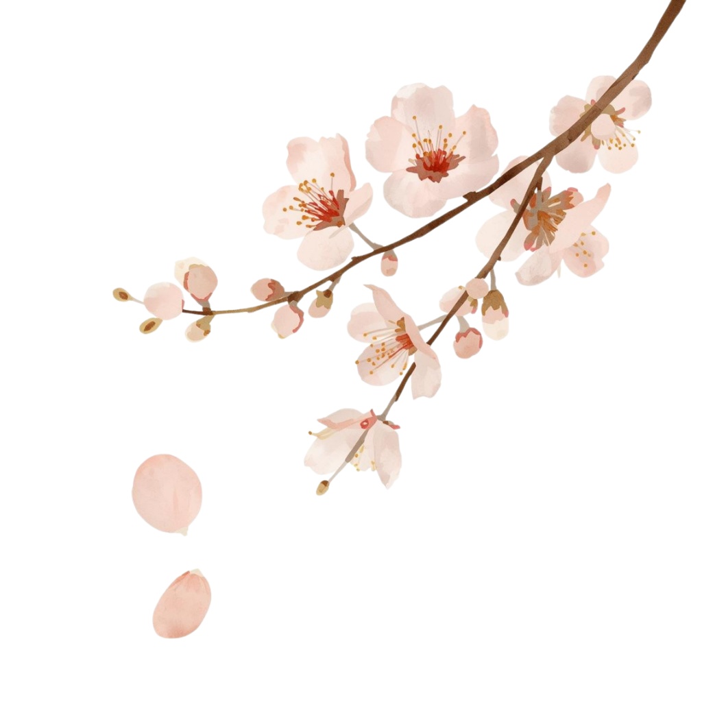 大人かわいい水彩フラワー素材集|12点・透過PNG