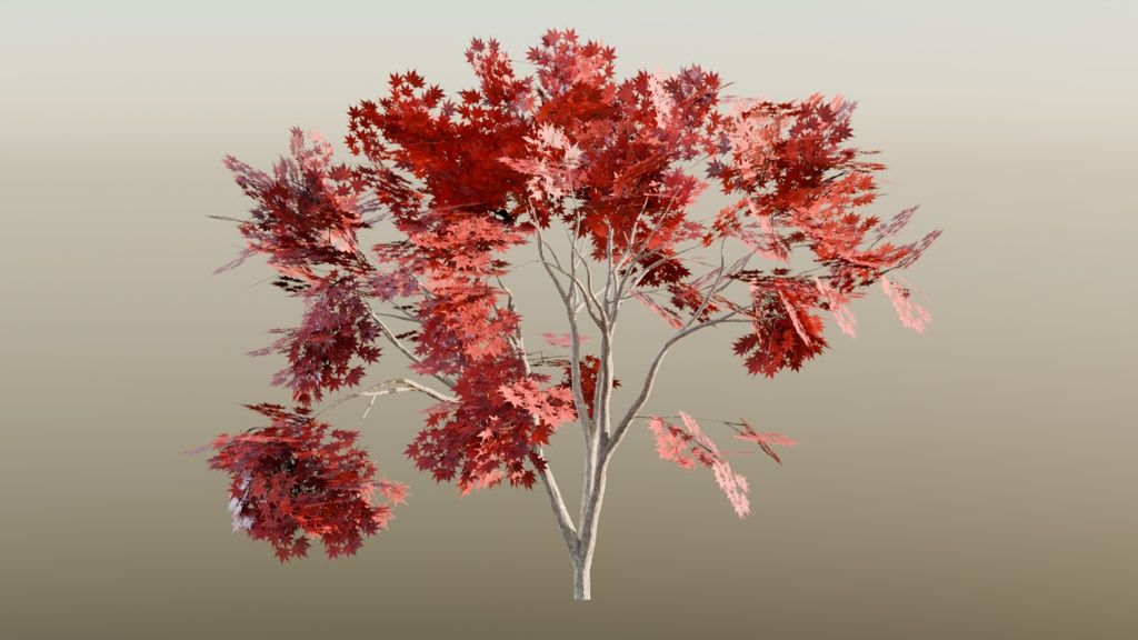 紅葉01