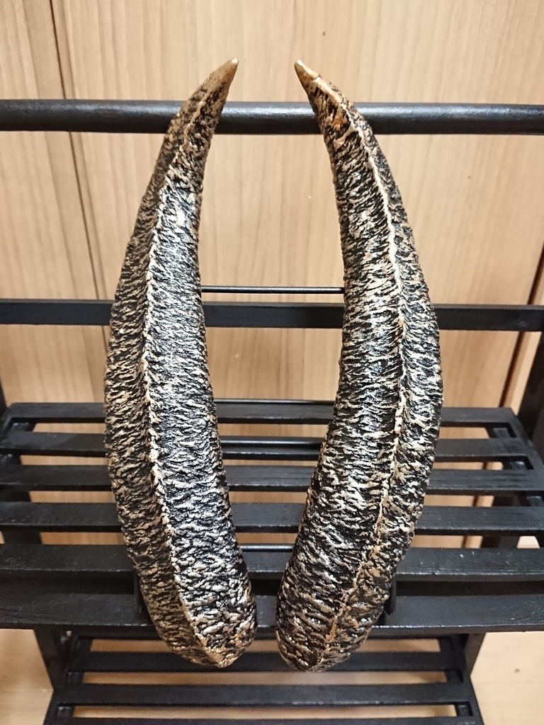魔獣の角(ロング)黒金