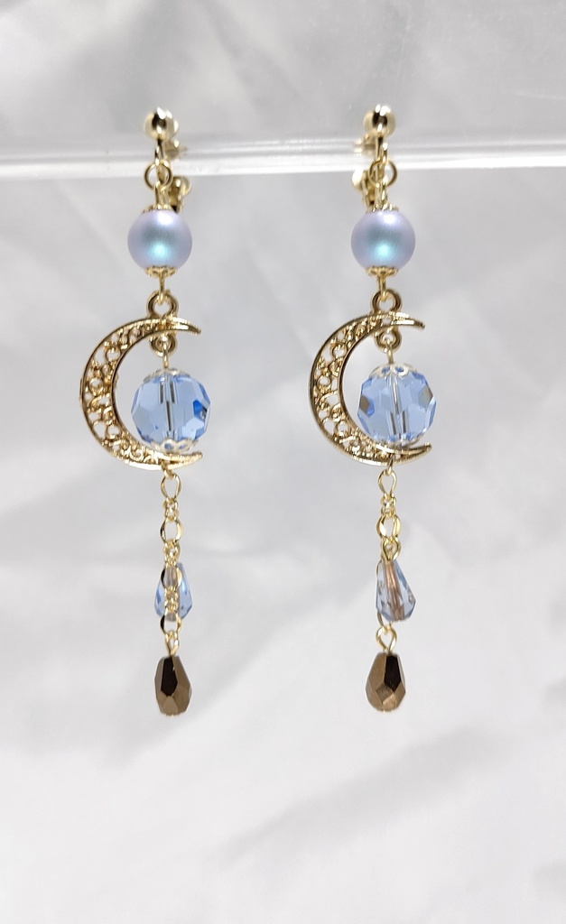 囚人【月間】イメージイヤリング