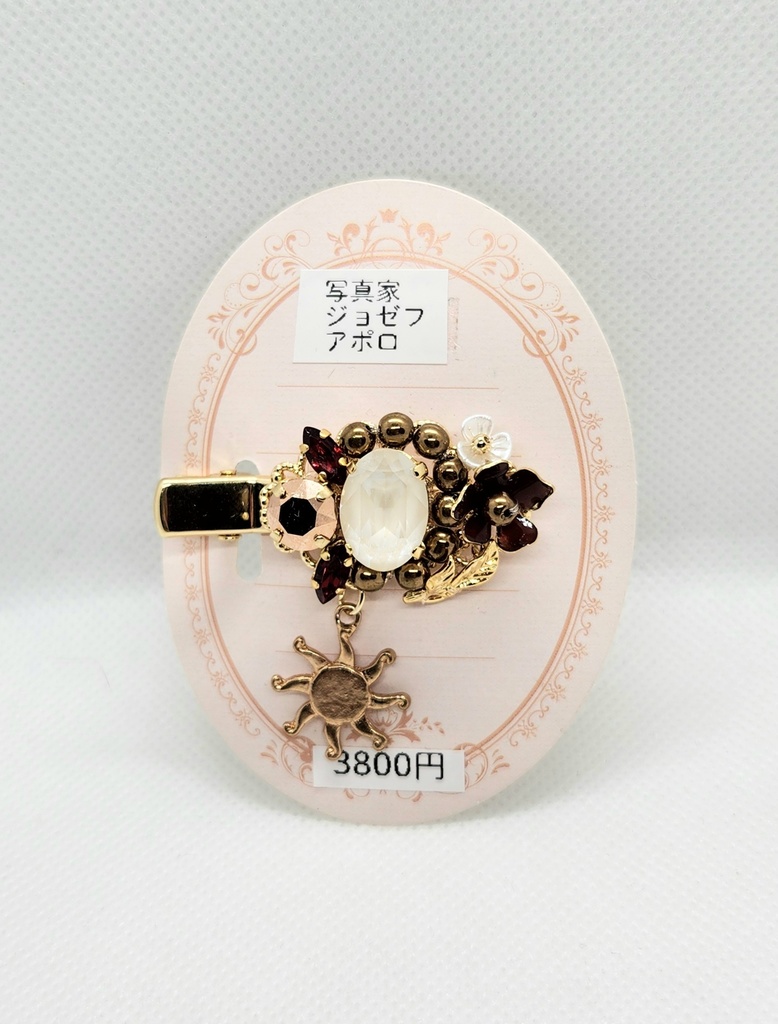 写真家[アポロ]イメージクリップ