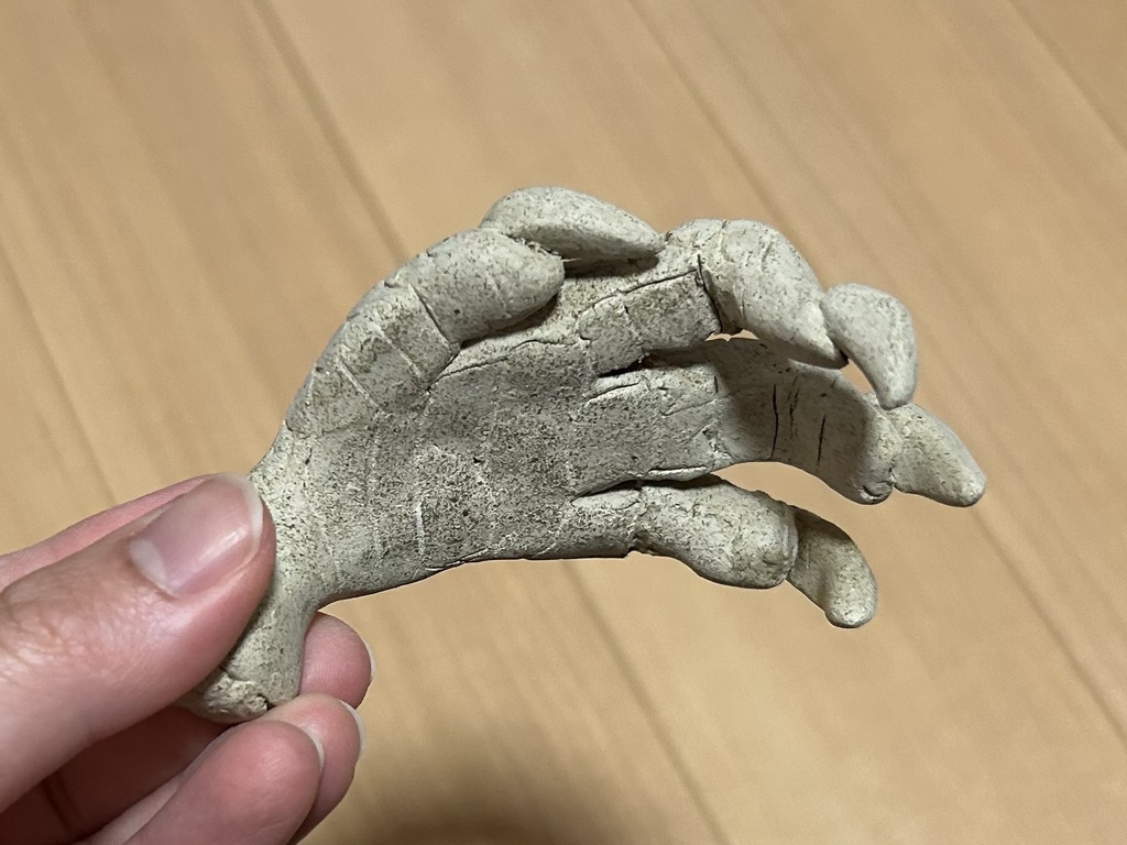 黄金龍の左手首