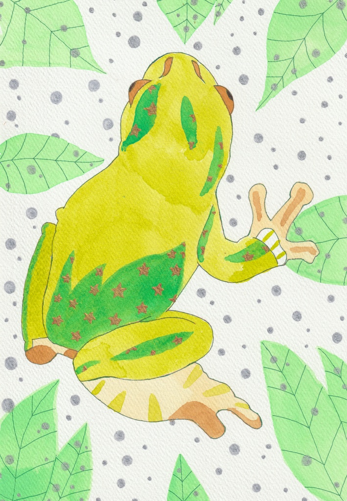 カエルさん