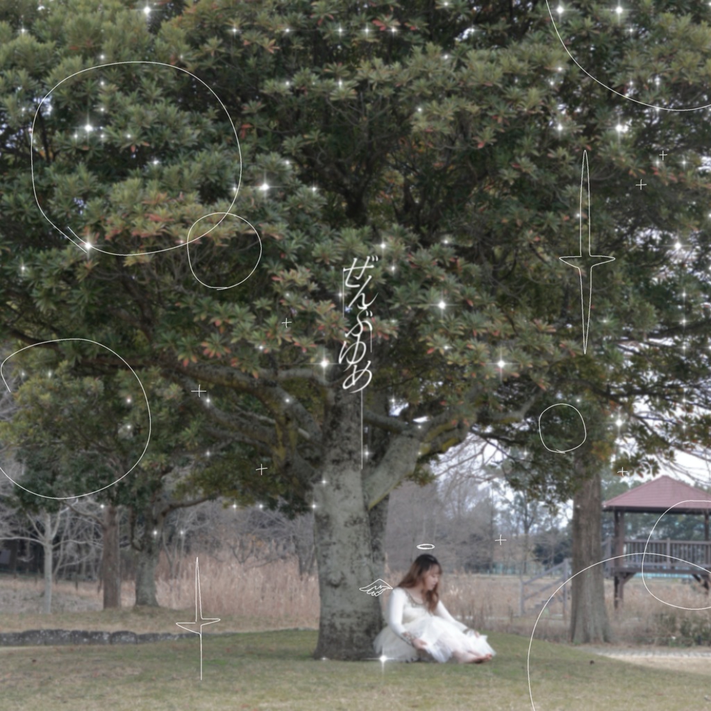 1st album ぜんぶゆめ