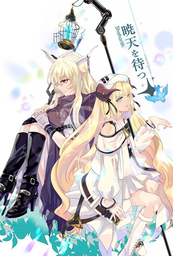 閃夜同人誌「暁天を待つ」