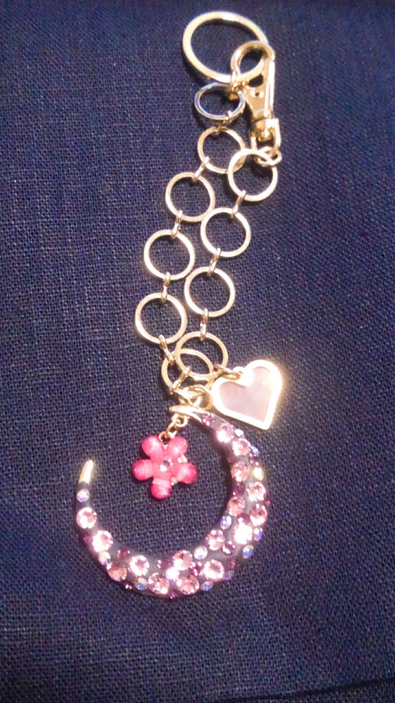 鯰乱イメージクレッセントバッグチャーム