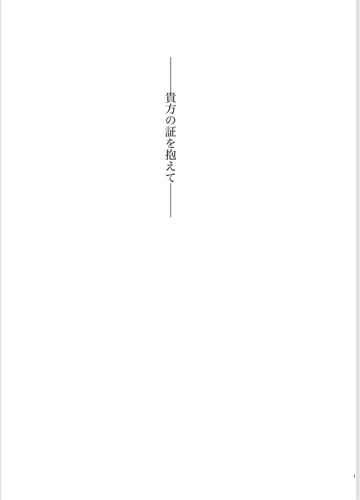 ⚠️在庫限り ─貴方の証を抱えて─
