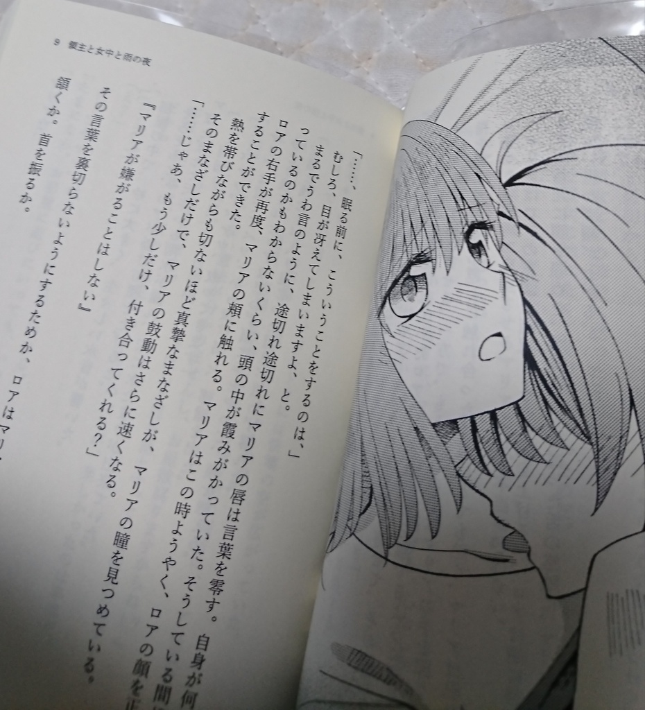 女領主とその女中~Vacances!~【小説本】カバーあり