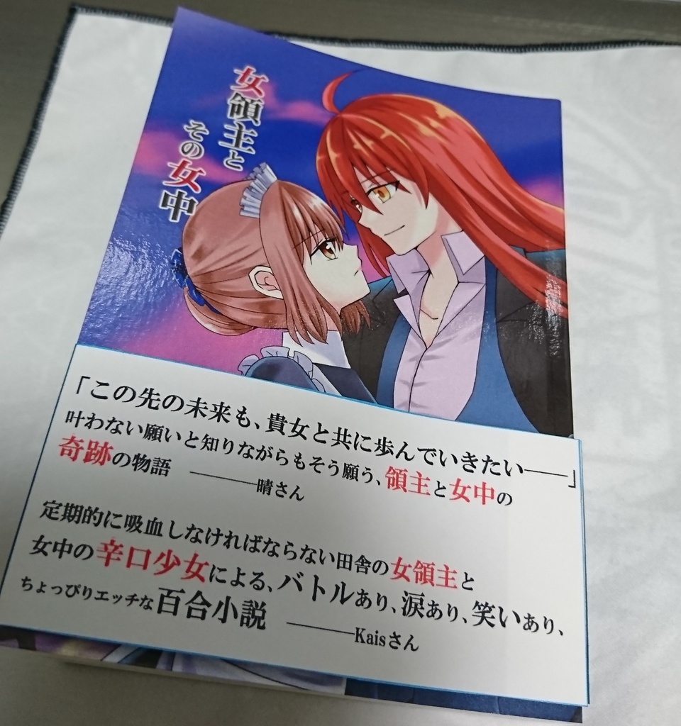 女領主とその女中【小説本】カバーあり