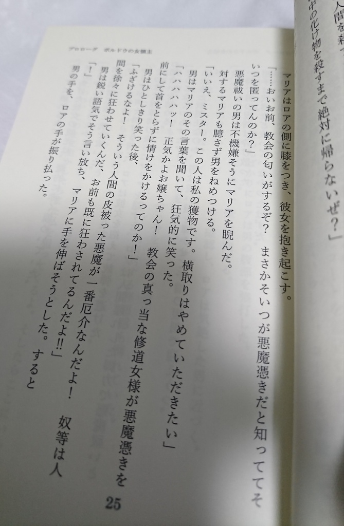 女領主とその女中【小説本】カバーあり