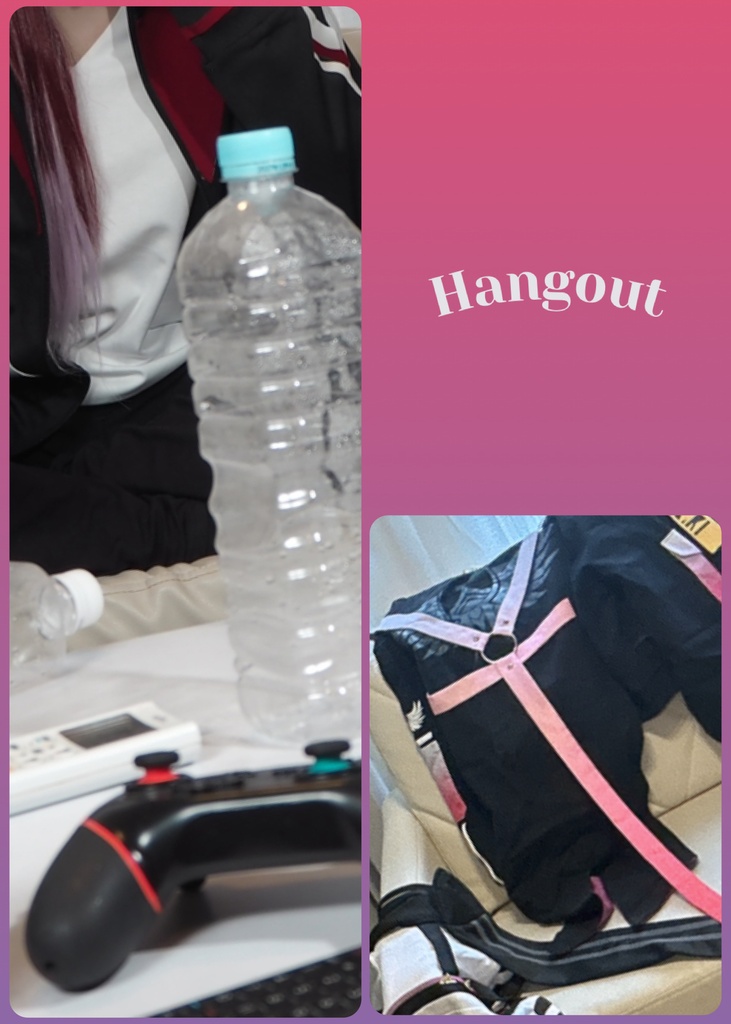 Hangout(小説)