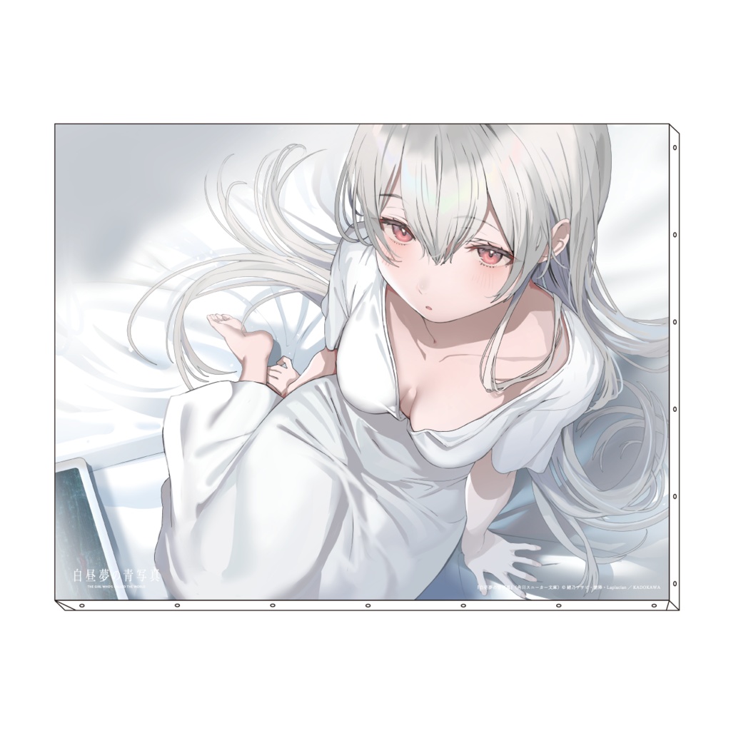 「白昼夢の青写真」キャンバスアート＜口絵　世凪＞