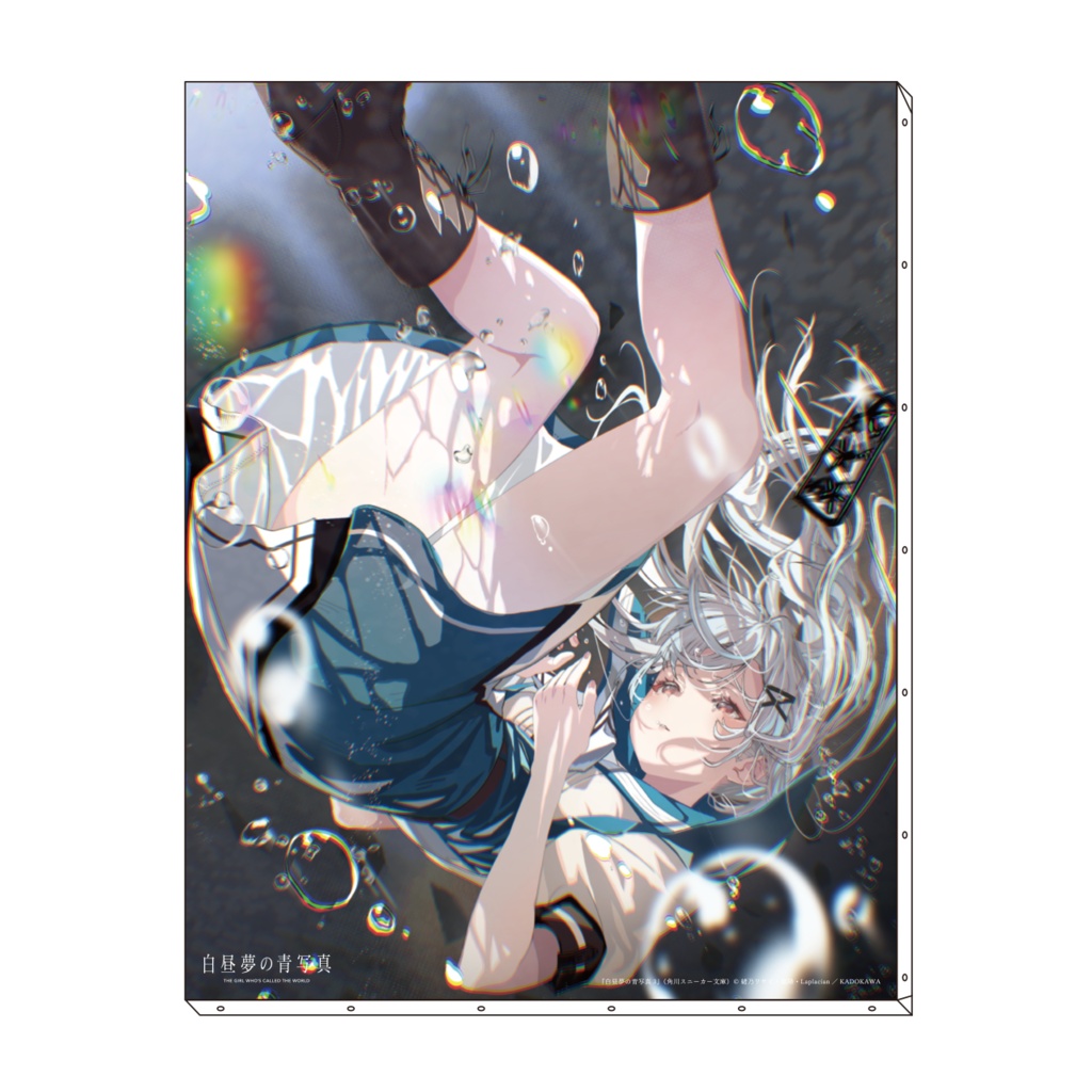 「白昼夢の青写真3」キャンバスアート＜リバーシブルカバー　凛＞