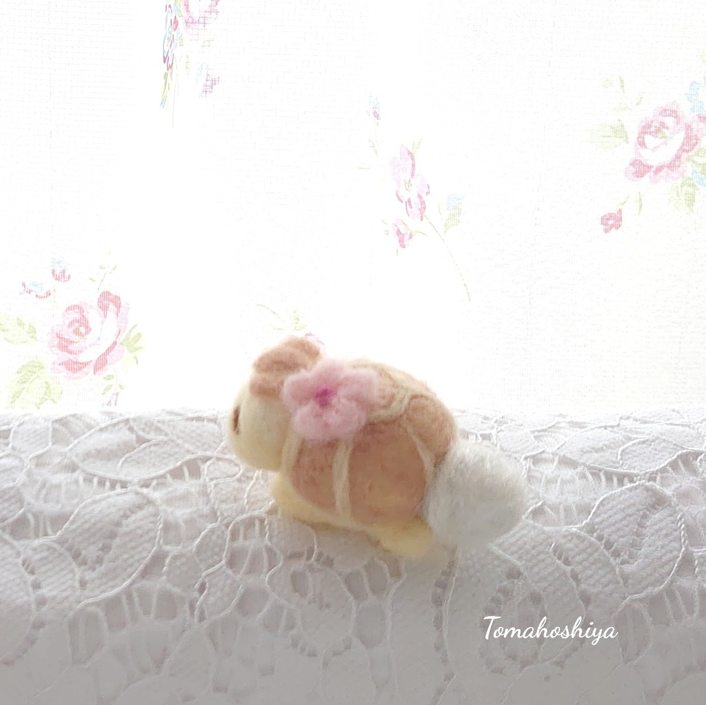 くっつきかめきち