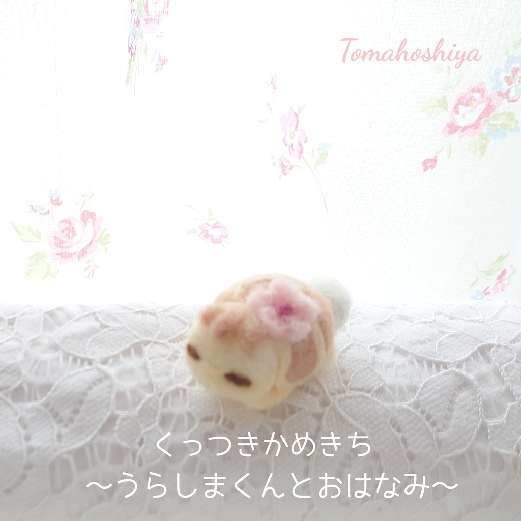 くっつきかめきち