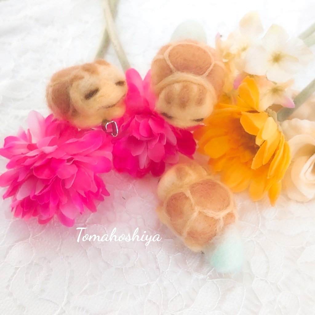 くっつきかめきち