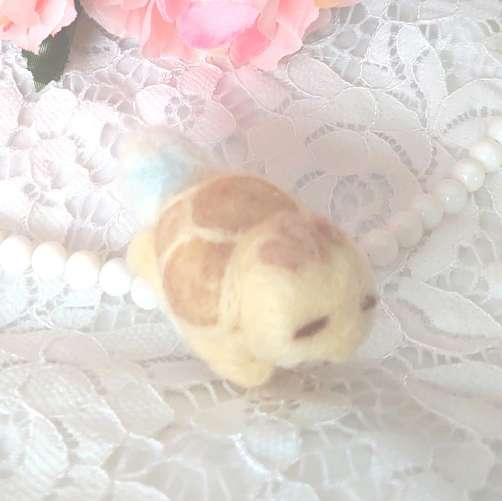 くっつきかめきち