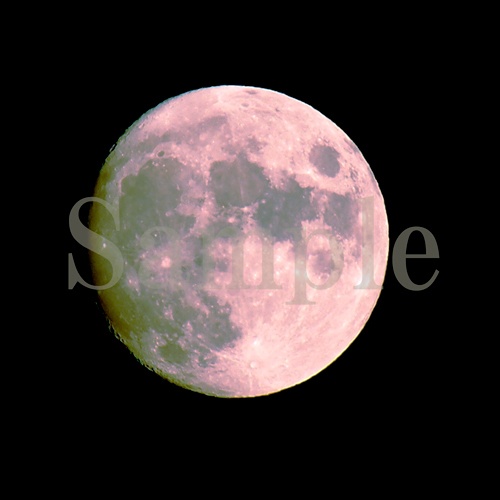 Photo 「PINK MOON」　写真ピンクの月