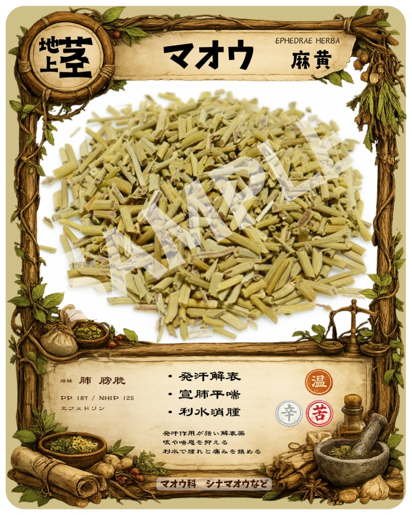 生薬トレカ「麻黄（マオウ）」No.004