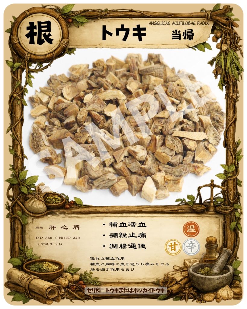 生薬トレカ「当帰（トウキ）」No.005