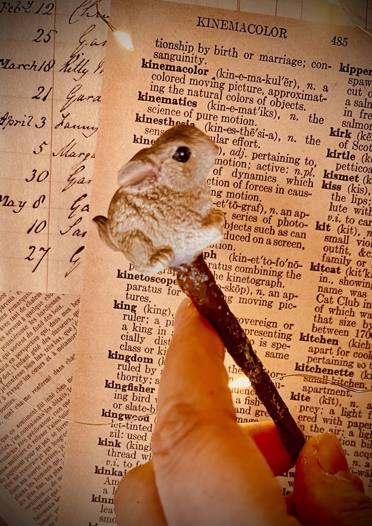 マジックワンド　うさぎ