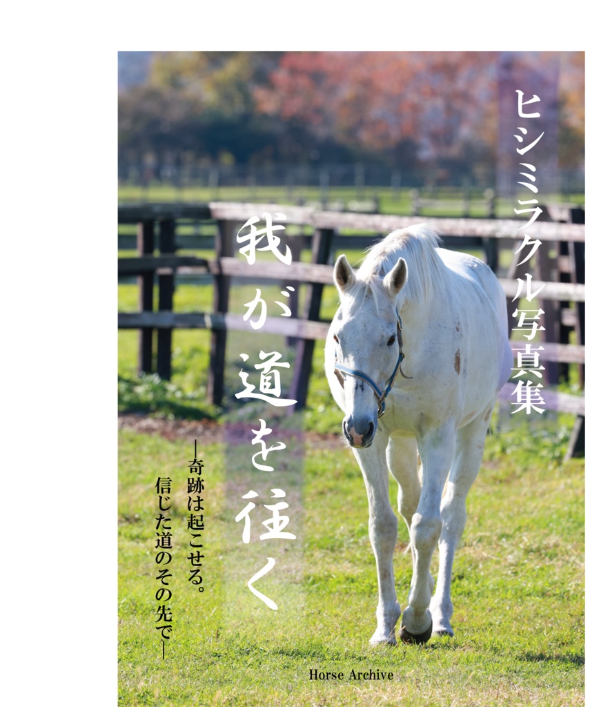 ヒシミラクル写真集「我が道を往く」