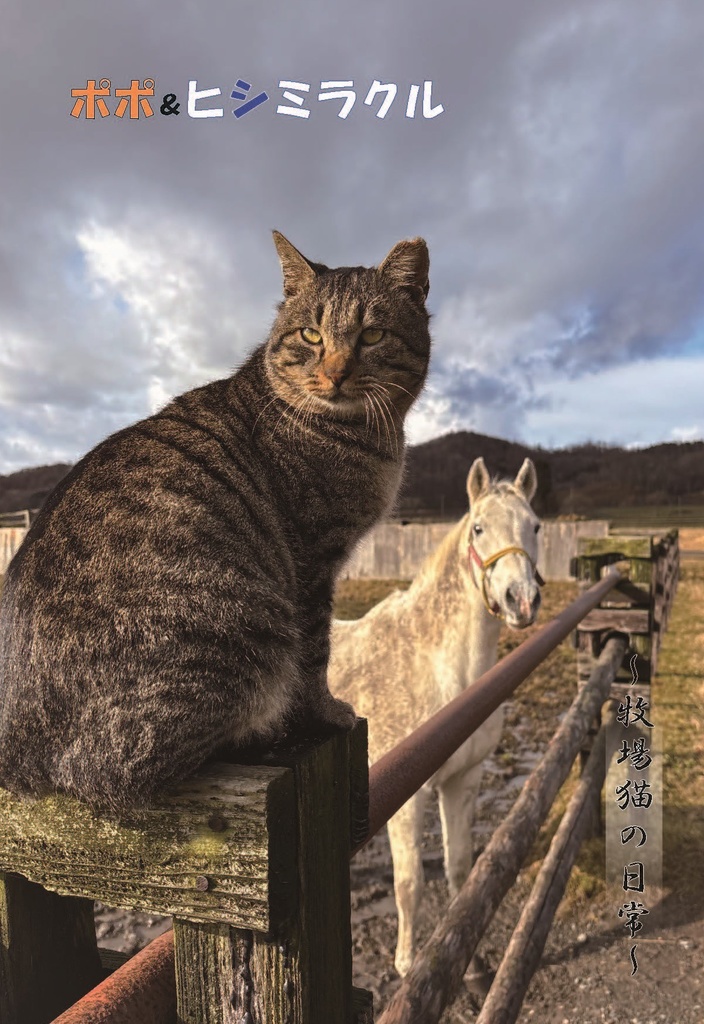 ヒシミラクル　ポストカードセット ver２（4種）