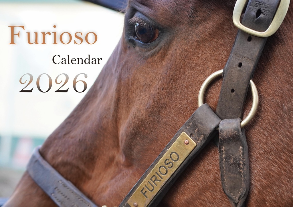 フリオーソ卓上カレンダー