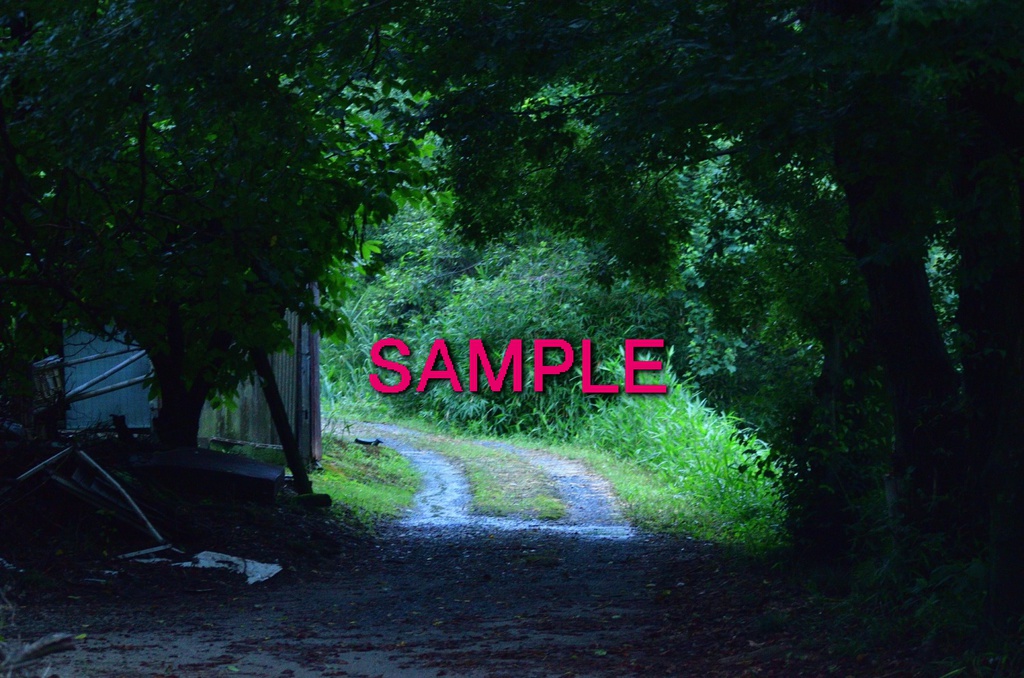 SAKEKUZU(ガスマスク写真集)