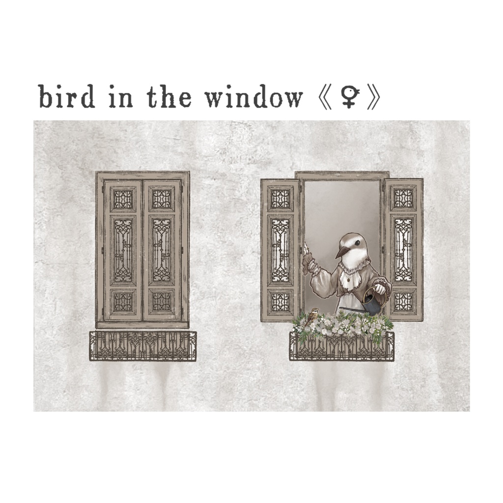 bird in the window《♀》ポストカード