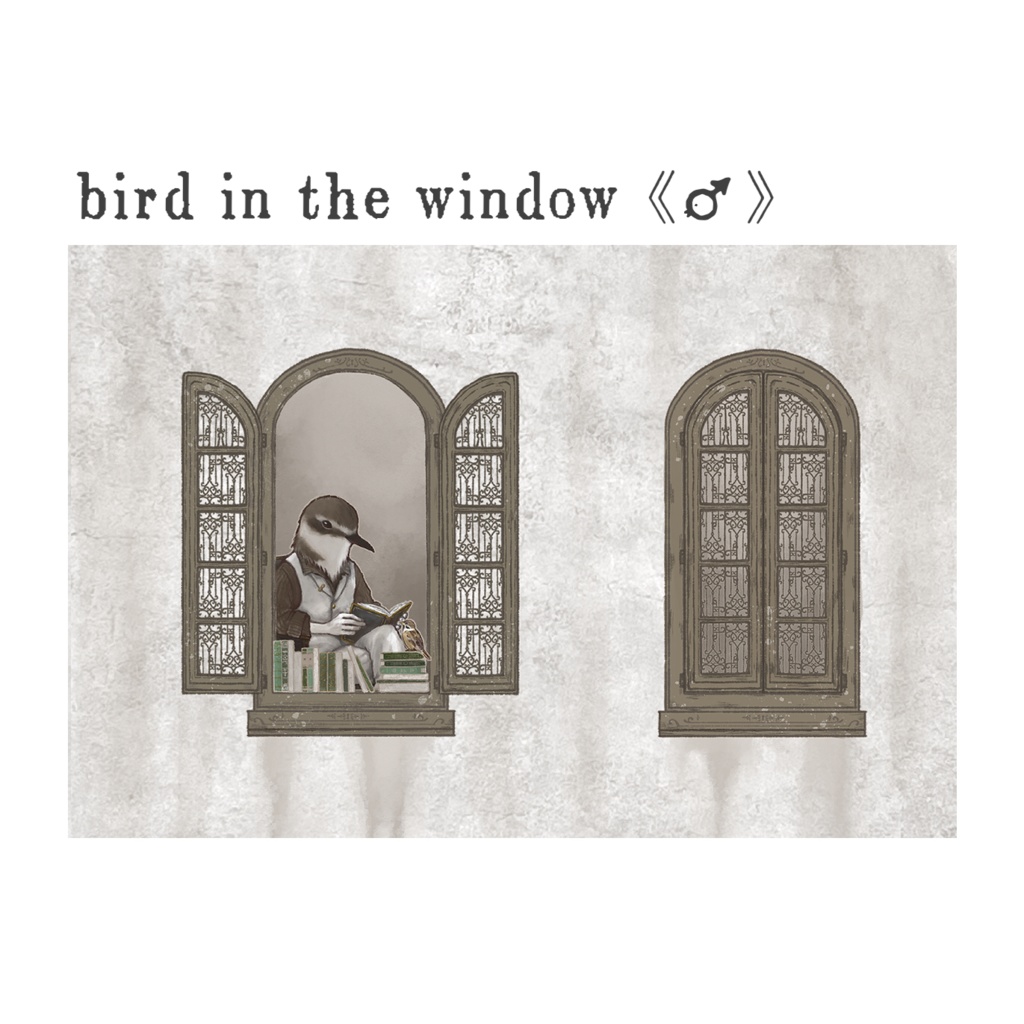 bird in the window《♂》ポストカード