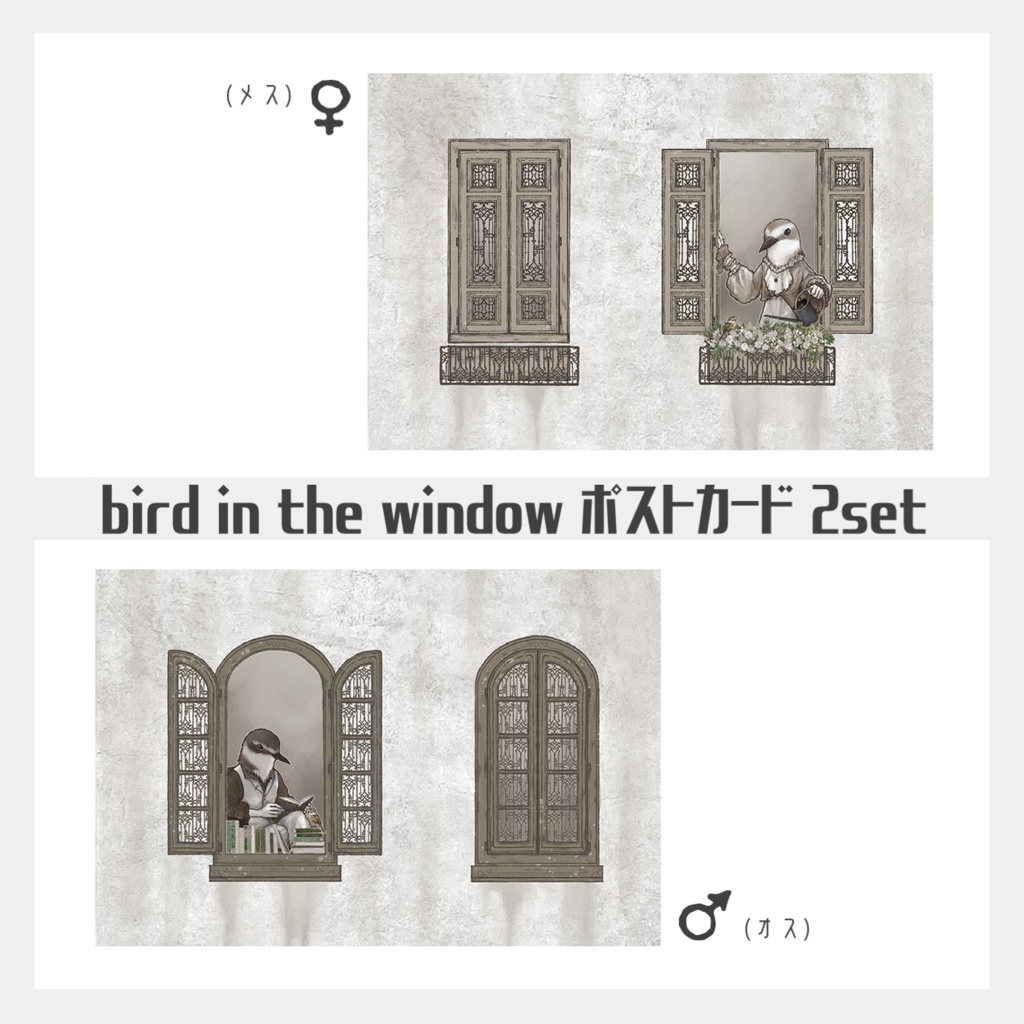 bird in the window　ポストカードセット