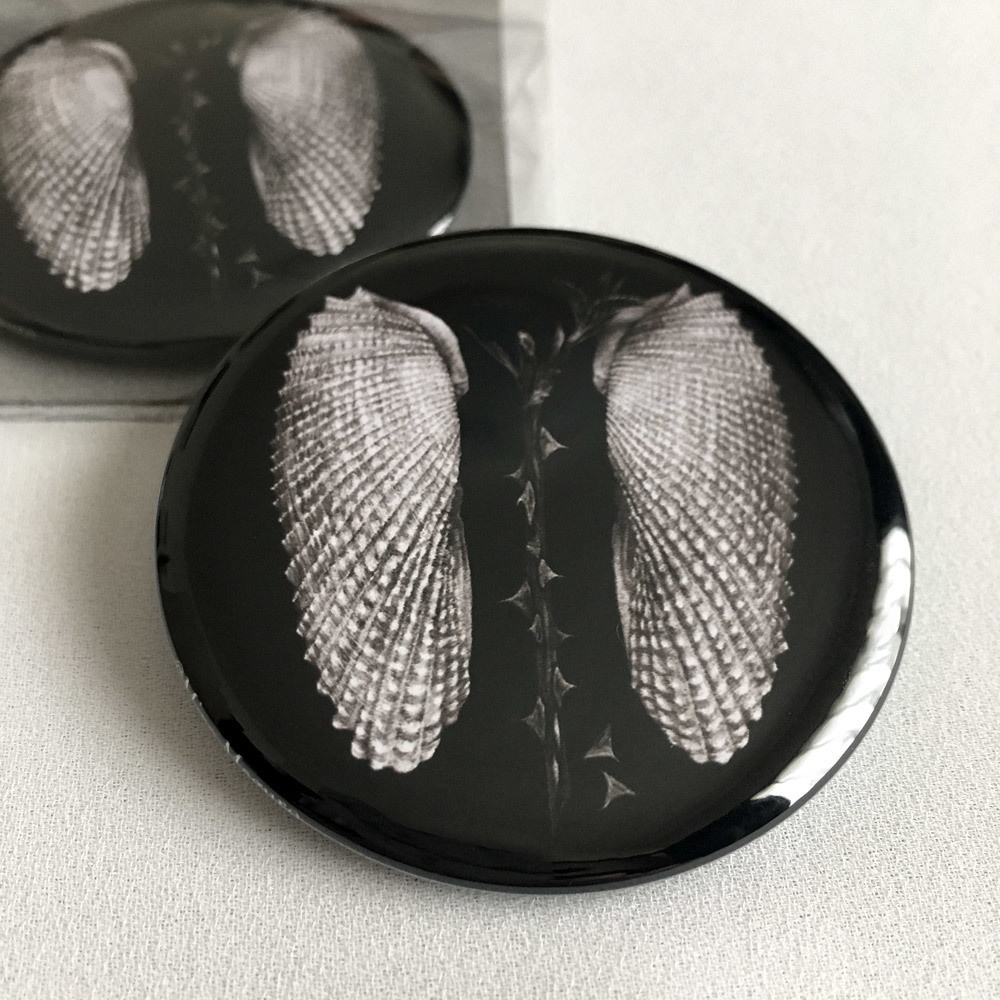 棘ある天使と自由なお魚缶バッジ