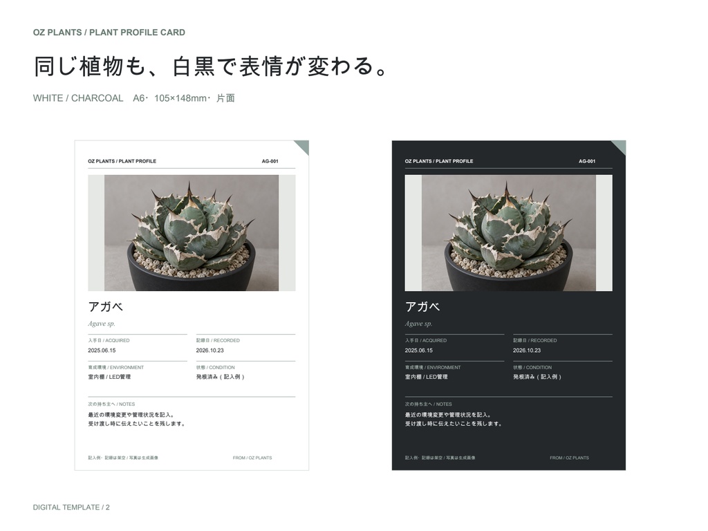 植物プロフィールカード|写真と育成記録を添える|白黒2色・A6編集テンプレート