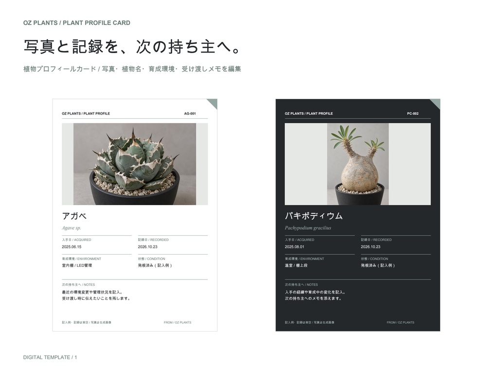 植物プロフィールカード|写真と育成記録を添える|白黒2色・A6編集テンプレート