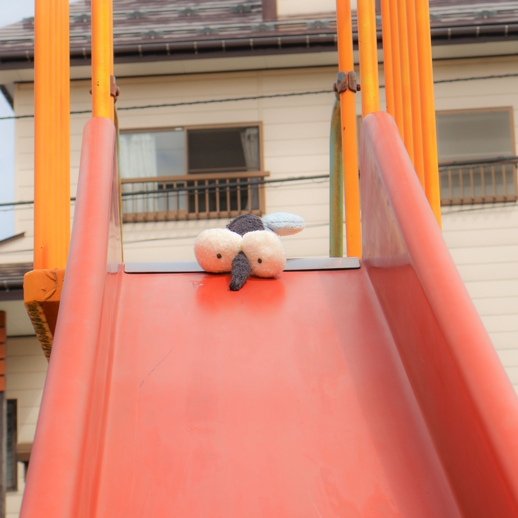 購入前にご一読ください