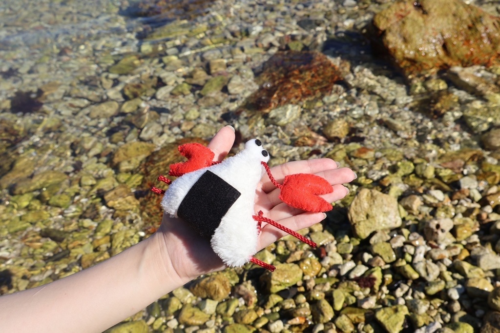 カニおにぎり🦀🍙